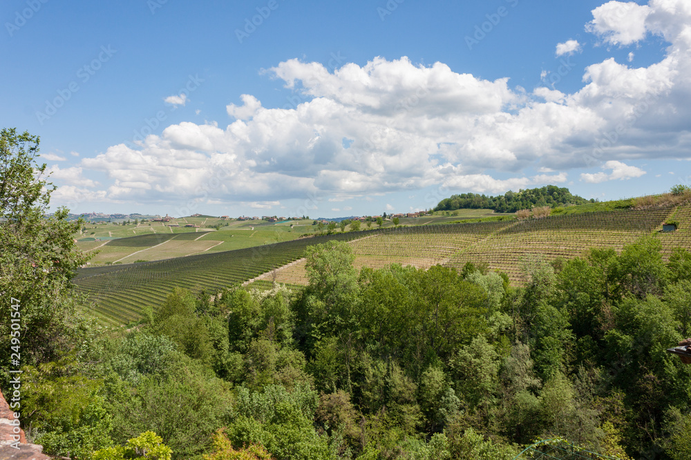 Aerial view of the vineyards of Barolo, Piedmont.