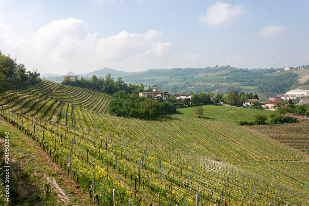 Aerial view of the vineyards of Langhe, Piedmont.