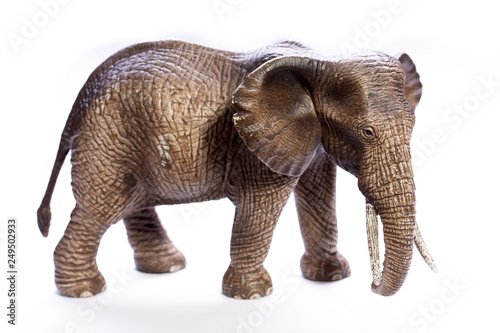 Elephant model isolated on white background © Alessandro Grandini