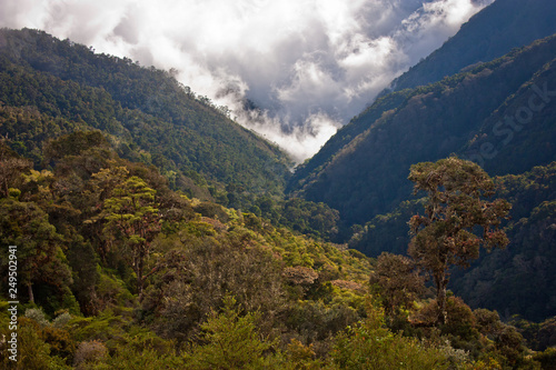 Steep slopes of costarican mountains covered by rainforest photo