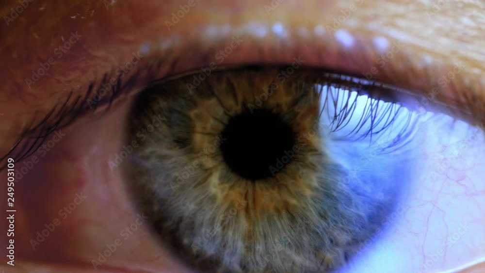 Human eye iris contracting. Extreme close up.