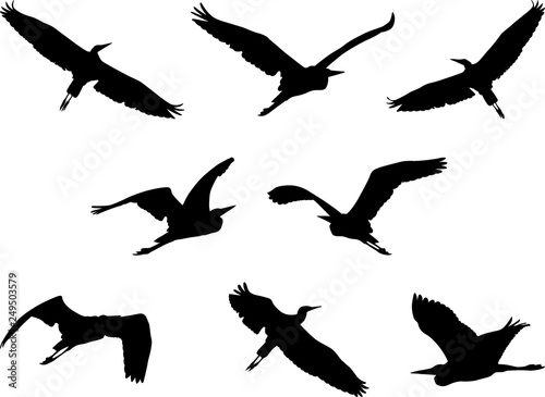 flying heron, set of birds silhouettes