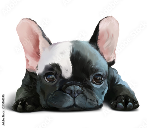 French bulldog puppy. Watercolor painting © Kajenna