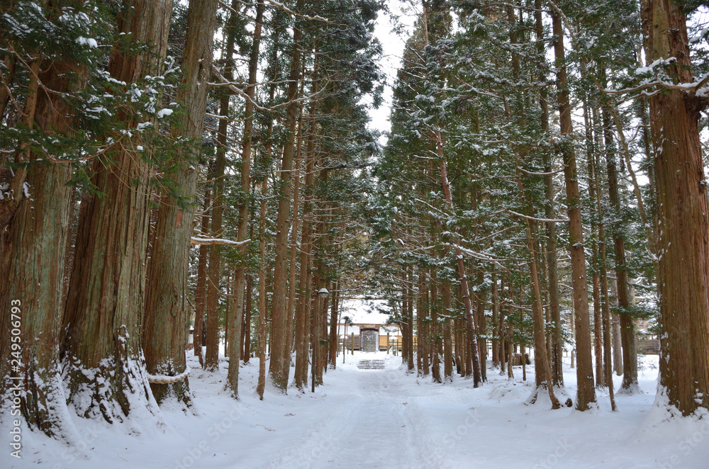 Fototapeta premium Cold Winter In Tono, Japan