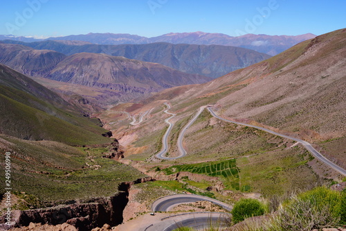 puma marca argentina