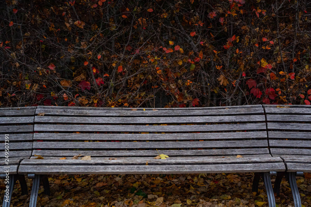 old wooden bench in the city heart of berlin germany, isolated bench in front of a stone wall old wooden bench in the city heart of berlin germany, isolated bench in front of a stone wall