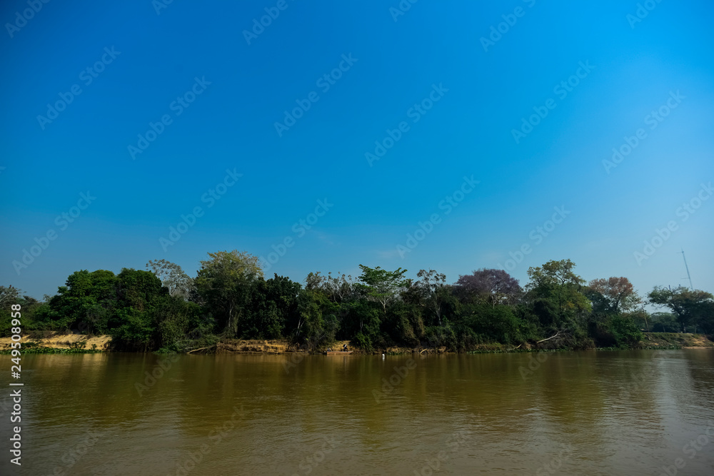 River landscape  and jungle,Pantanal, Brazil