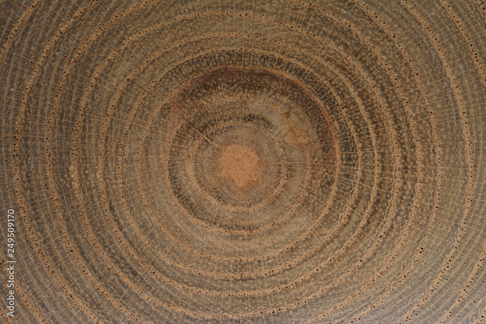 Naklejka premium Growth Rings Background