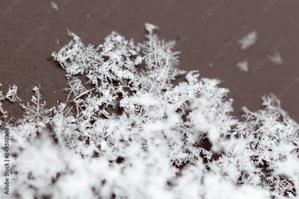 White snowflakes on nature as a background White snowflakes on nature as a background