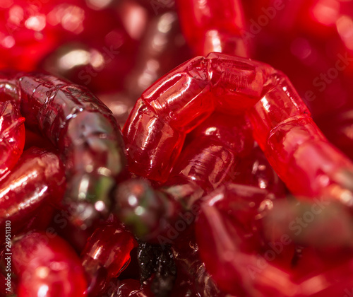 Red worms bloodworms as background