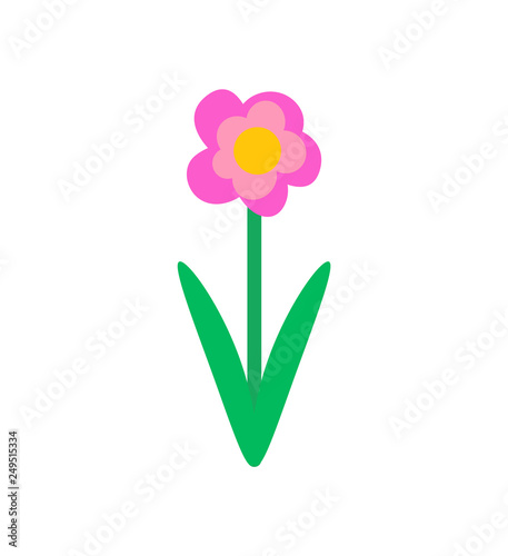 Spring pink flower in cartoon style. Vector isolated blooming bud with green leaves, botanical icon with color floral element, romantic blossom in flat design