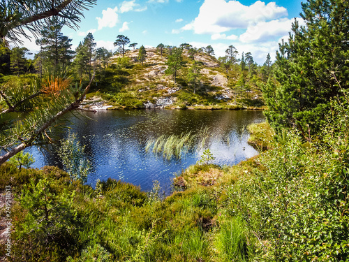 Fototapeta Naklejka Na Ścianę i Meble -  Beautiful nature of Norway
