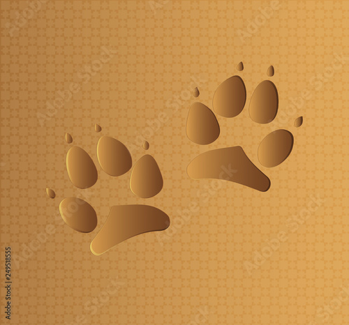 dog paw footprint with texture