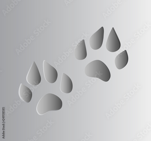 dog paw footprint with texture
