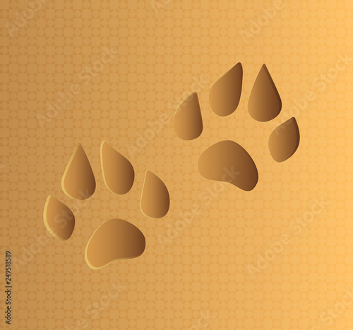 dog paw footprint with texture