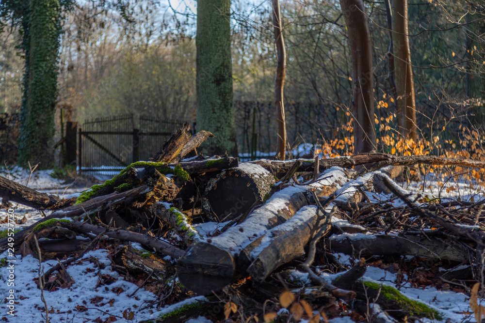 Obraz premium Nature