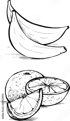 Banany i pomarańcze rysunek wektor
