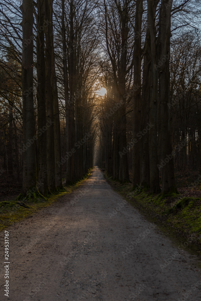 Nature Nature