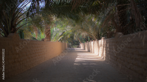Shaded alley in Al Ain oasis, United Arab Emirates