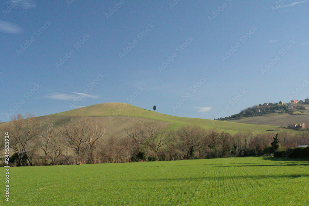 green field,landscape,rural,agriculture,hill,sky,blue,countryside,view,panorama