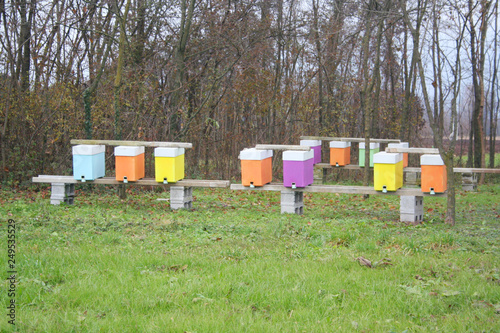 Beehives in different colors near a meadow in countryside in winter season