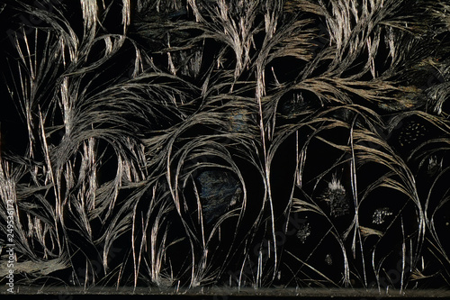 The acetylsalicylic acid crystals. Photomicrograph