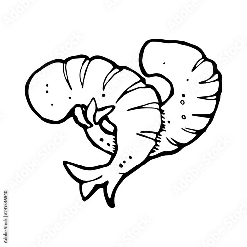 Shrimp icon hand-drawn