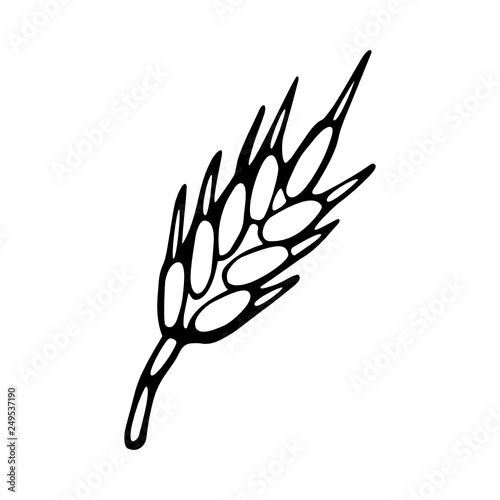 Wheat icon hand-drawn