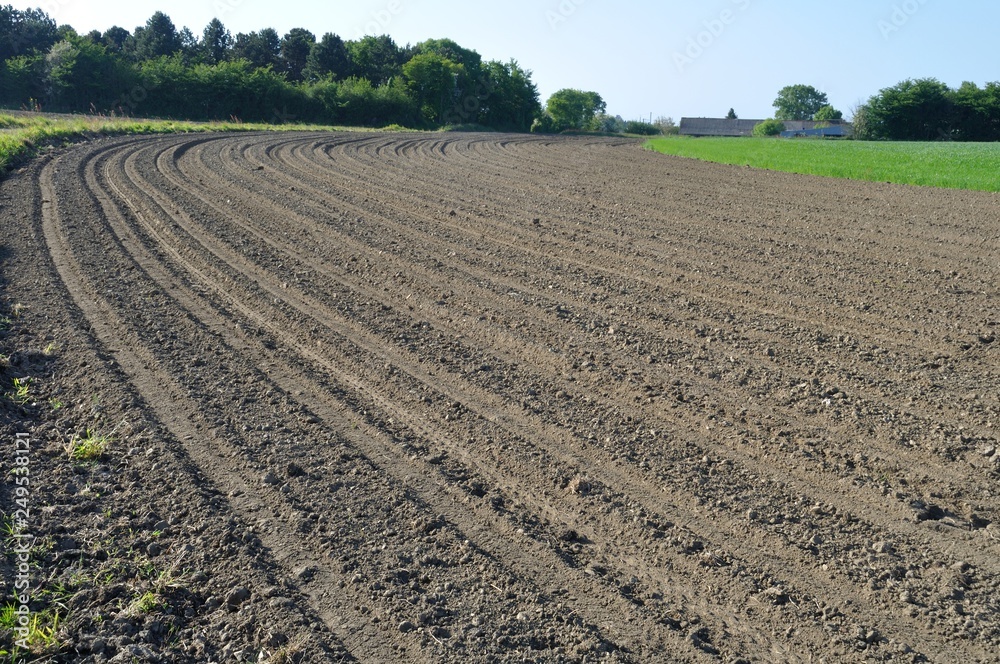 Ground after sown Ground after sown