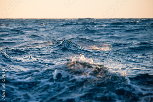 Fototapeta Naklejka Na Ścianę i Meble -  Large sea waves at sunset close up in a strong wind