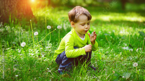 Foto Little boy blows down dandelion fluff. Making a wish