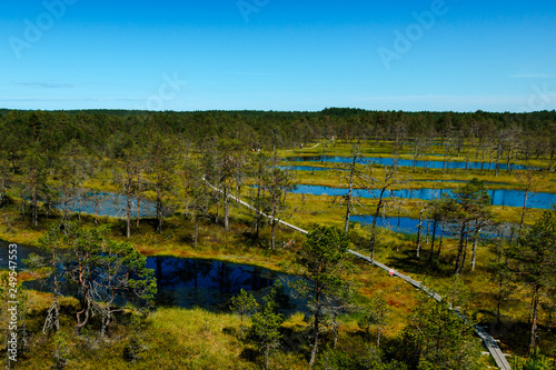 Wooden path at the Viru raba, Lahemaa National Park in Estonia.