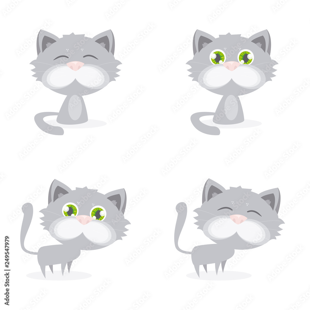 Obraz premium grey_kittie_