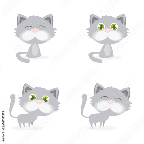 grey_kittie_