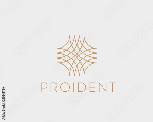 Universal linear vector logo. Abstract net luxury lines logotype.