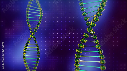 Two DNA double helix on digital blue background. Science and health theme