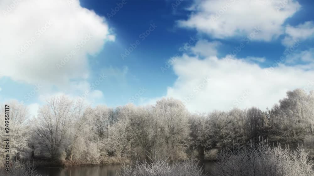 Frozen Winter Trees And Clouds Time Lapse Frozen Winter Trees And Clouds Time Lapse