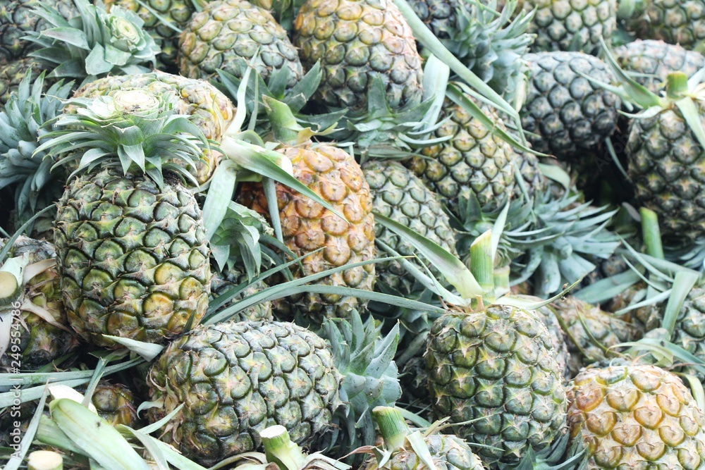 Fresh pineapple is delicious in street food Fresh pineapple is delicious in street food