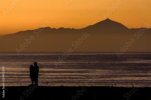 Silhouette Couple Standing By Sea Against Clear Sky During Sunset