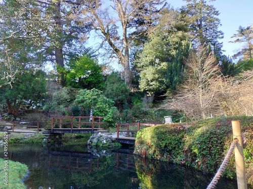 Asian garden photo