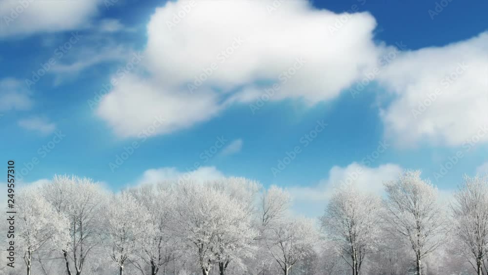 Frozen Winter Trees And Clouds Time Lapse Frozen Winter Trees And Clouds Time Lapse