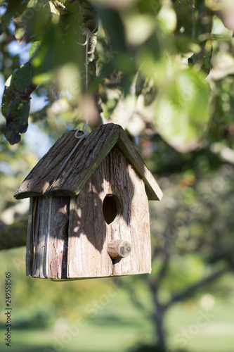 casita de madera para pajaros photo