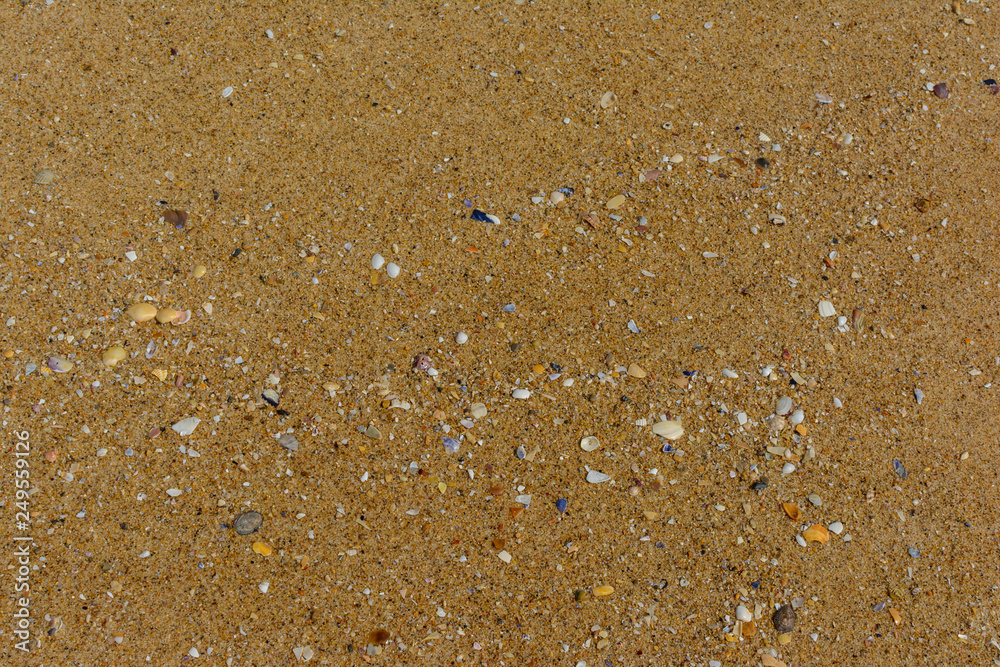 Fecuhter Sand mit Muschelstücken Fecuhter Sand mit Muschelstücken
