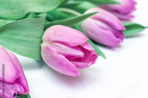 Fototapeta Naklejka Na Ścianę i Meble -  Bouquet of spring flowers, pink tulips on white background close up - holiday card for 8 march, Valentine day or mother's day