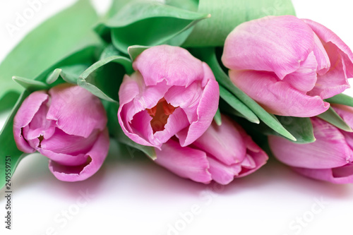 Bouquet of spring flowers, pink tulips on white background close up - holiday card for 8 march, Valentine day or mother's day