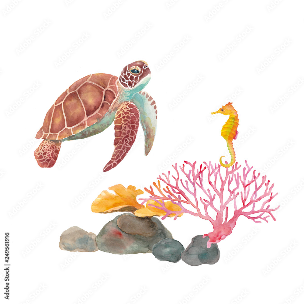 海の生き物の水彩イラスト ウミガメ タツノオトシゴ サンゴ Stock イラスト Adobe Stock