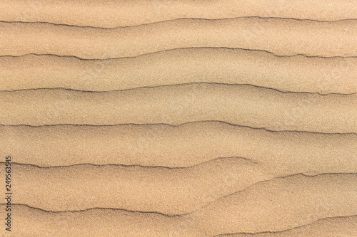  Sand texture. Sandy beach for background. Top view