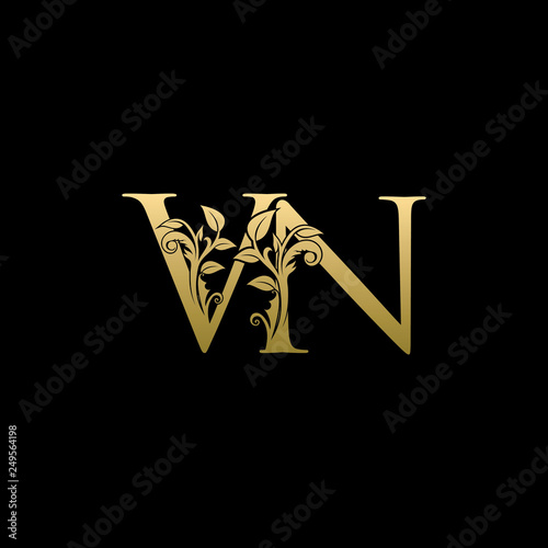 Golden Flower VN Letter Logo photo