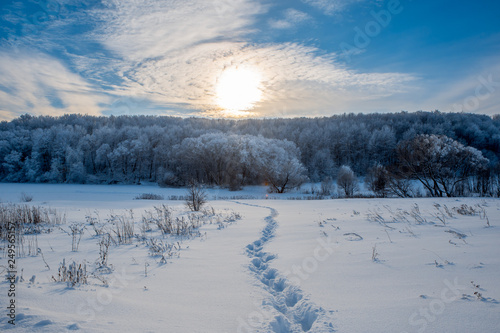 Fototapeta Naklejka Na Ścianę i Meble -  Frost winter in Russia