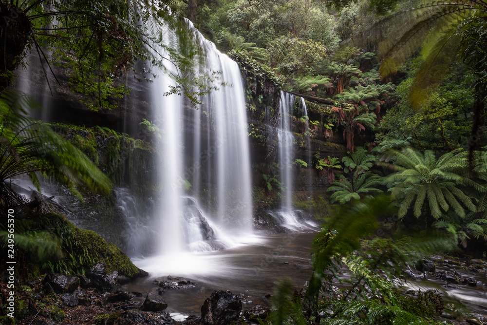 Fototapeta premium Russell Falls, Mount Field Tasmania